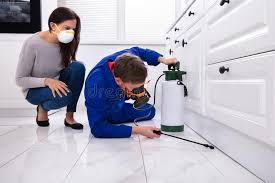 Best Residential Pest Control  in Middlebranch, OH