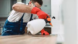 Best Residential Pest Control  in Middlebranch, OH