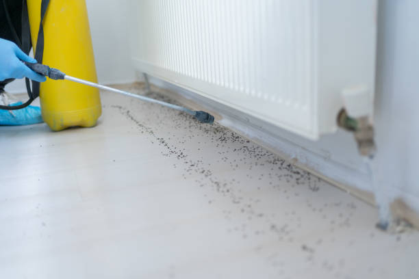 Best Pest Prevention Services  in Middlebranch, OH